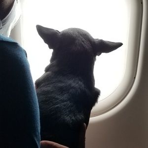 Meet your Posher, Tracey